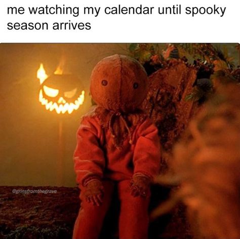 Sam Trick R Treat, Halloween Memes, Trick R Treat, Halloween 2013, Halloween Lovers, Dark Memes, Halloween Horror Nights, College Humor, Funniest Memes