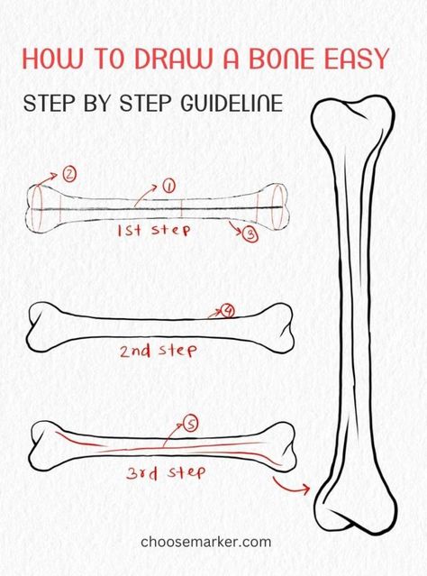 Bone Sketch Simple, Simple Bone Drawing, Skull Drawing Simple Step By Step, Bones Drawing Easy, How To Draw Bones, How To Draw Skeletons, Animal Bones Drawing, Bone Art Drawing, Bones Reference