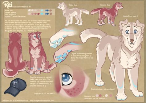 Ref sheet of Rei, a dog fursona. Dog Fursona Base, How To Make A Fursona Art, Dog Fur Drawing, Dog Fursona Reference Sheet, Fursona Base, Dog Fursona, Floppy Ear Dog, Dog Fursona Art, Fursona Ref