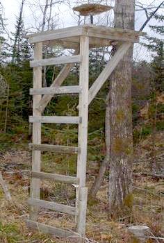 Deer Stand Diy Deer Stand, Duck Hunting Blinds, Deer Blind Plans, Tree Stand Hunting, Deer Hunting Stands, Deer Stand Plans, Deer Feeders, Hunting Stands, Deer Blind