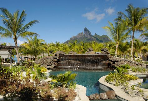 The St. Regis Bora Bora Resort Zen Pool with view of waterfall and Mt. Otemanu ✯ ωнιмѕу ѕαη∂у Zen Pool, Tahiti Wedding, St Regis Bora Bora, Bora Bora Hotels, Bora Bora Island, Tahiti Bora Bora, Where Is Bora Bora, Bora Bora Resorts, Oasis Pool