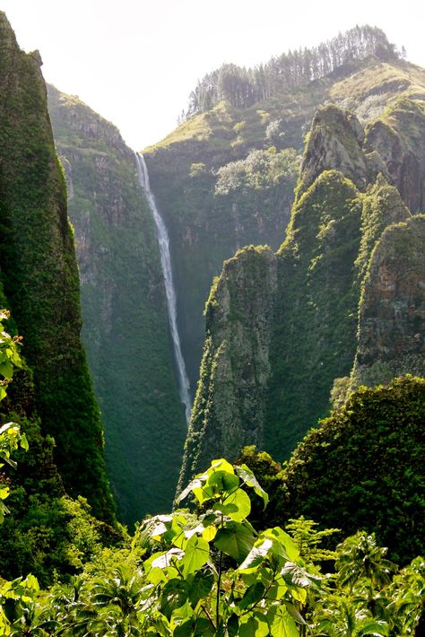 Vaipo waterfall is located on the island of Nuku Hiva in the Marquesas Islands, French Polynesia.  Although it appears that the horse-tail shaped waterfall does not even touch the ground it drops down a mere 350m, making it the highest waterfall of Polynesia. Nuku Hiva, Marquesas Islands, Horse Tail, French Polynesia, Beautiful Places In The World, Tahiti, Most Beautiful Places, Beautiful Places, Favorite Places