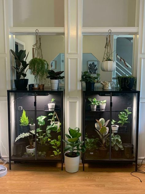 Our IKEA Rudsta Cabinet Greenhouse After Three Months Progress Ikea Rudsta, Cabinet Greenhouse, Ikea Kitchen Units, Ikea Greenhouse Cabinet, Greenhouse Cabinet, Ikea Greenhouse, Ikea Plants, Home Office Shelves, Going On An Adventure