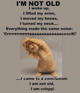 Quotes Funny Life, Movies Quotes, Funny Quotes About Life, E Card, Funny Animal Pictures, Bones Funny, Morning Quotes, Good Morning Quotes, Funny Cute