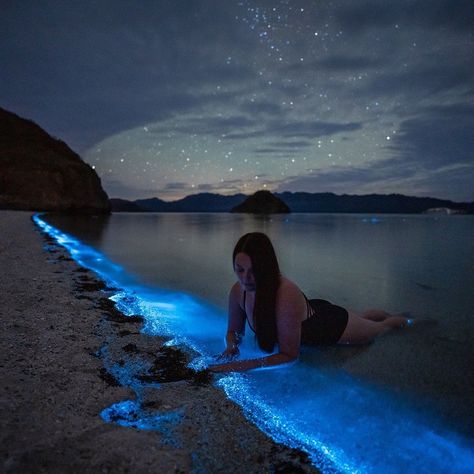 EARTH FOCUS on Instagram: “I’ve never seen anything this crazy! Baja Sur beach, Mexico. This is “Bioluminescent phytoplankton” Photos/videos by @moonmountainman…” Bioluminescent Plankton, Incredible Photography, Mexico Summer, Japan Lifestyle, Baja California Mexico, Popular Photography, Venice Travel, Baja California Sur, Photographers Life