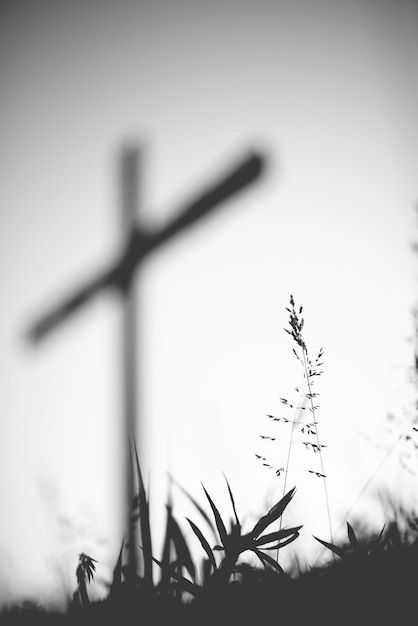 Free photo vertical grayscale shot of a ... | Free Photo #Freepik #freephoto #wooden-cross #catholic #christian-religion #christian Christian Background Images, Cross Background, Jesus Background, Cross Pictures, Church Backgrounds, Cross Wallpaper, Christian Backgrounds, Jesus Photo, Instagram Background