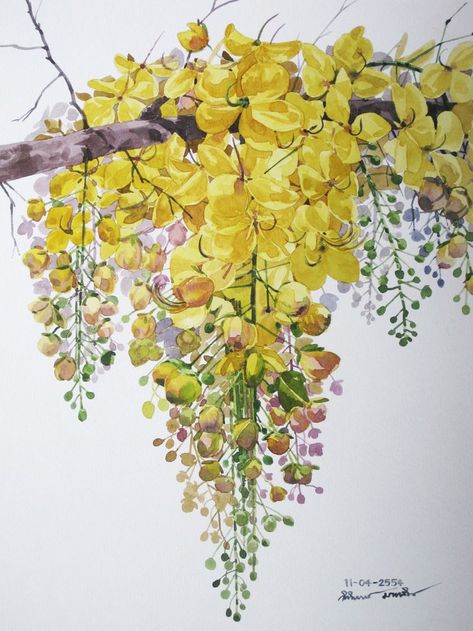 Yellow Flowers Watercolor, Yellow Flowers Painting, Sunflower Drawing, Colour Painting, Watercolor Flower Art, Watercolor Painting Techniques, Flower Art Images, 수채화 그림, Garden Painting