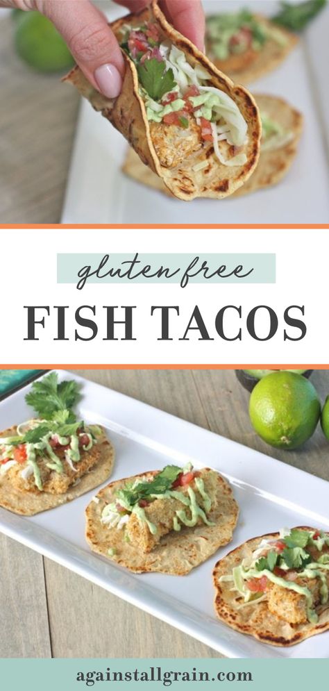 A hand holding a gluten free fish taco up for the camera. Aip Fish Tacos, Gluten Free Seafood Recipes, Gf Tacos, Fish Tacos Gluten Free, Paleo Fried Fish, Gluten Free Fish Tacos, Paleo Fish Tacos, Tacos For Dinner, Baked Fish Tacos