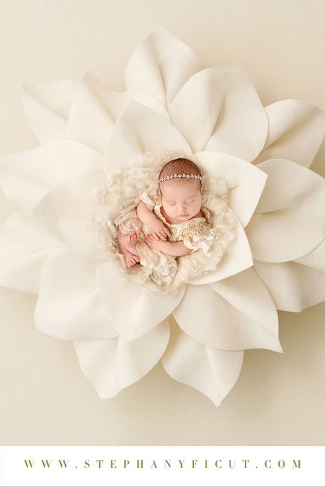 Babygirl Newborn Photography, Elegant Newborn Photography, New Born Baby Girl Photoshooting Themes, Newborn Themed Photoshoot, Newborn Photography Theme, Newborn Baby Girl Photoshooting Ideas, Brooklyn Pictures, Newborn Girl Photoshooting Ideas, Baby Girl Photoshooting Ideas