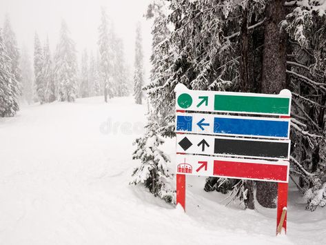 Ski run sign. Blank ski run sign with three different difficulty levels and lift , #Aff, #Blank, #ski, #difficulty, #Ski, #run #ad Ski Signs, Ski Sign, About Blank, Diamond Image, Snow Leopard, Animal Faces, Leopards, Blue Diamond, Icon Illustration