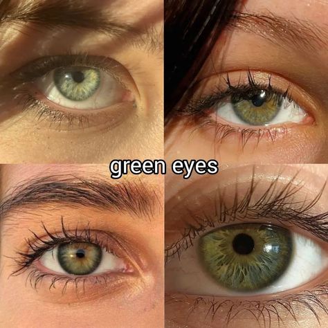 what is the colour of your eyes? ♡ follow @jeonrencia for more! 🍂 ✧₊˚. Green Eyes Vision Board, How To Change Eye Color Naturally, Green Eyes Aesthetic, Pretty Eyes Color, Eye Colours, Human Sacrifice, Beautiful Eyes Color, Eyes Color, Vision Eye