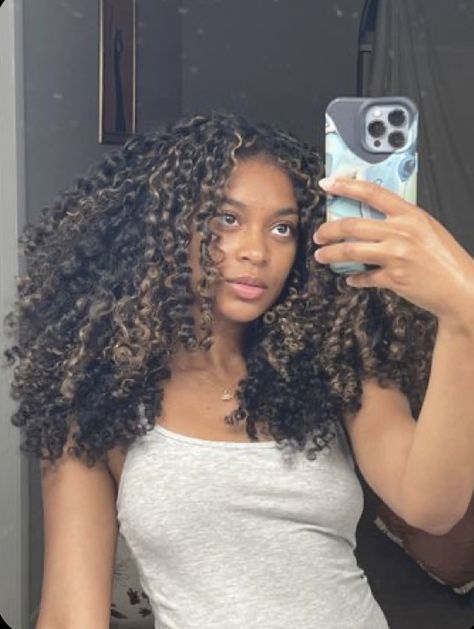 Curly Hairstyles For Black Women Highlights, Curly Highlights On Black Hair, Blonde Highlights On Brown Hair Short Curly, Natural Beige Highlights, High Contrast Curly Hair, Curly Hair Highlight Ideas, Honey Brown Hair Curly Highlights, Highlighted Natural Curly Hair, Dyed Hair On Curly Hair