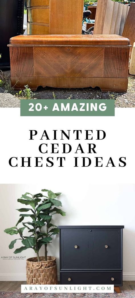 Have an old cedar chest you absolutely love, but need to give it a new and updated look!? Check out these amazing painted cedar chest ideas that are sure to get you on the right track to giving your cedar chest new life! These painted furniture ideas will have you inspired to take on your next DIY project and create a one-of-a-kind piece for your home. Cedar Chest Ideas, Painted Cedar Chest, Cedar Chest Makeover, Chest Makeover, Chest Ideas, Cedar Chest, Painted Furniture Ideas, Best Furniture, Furniture Makeovers