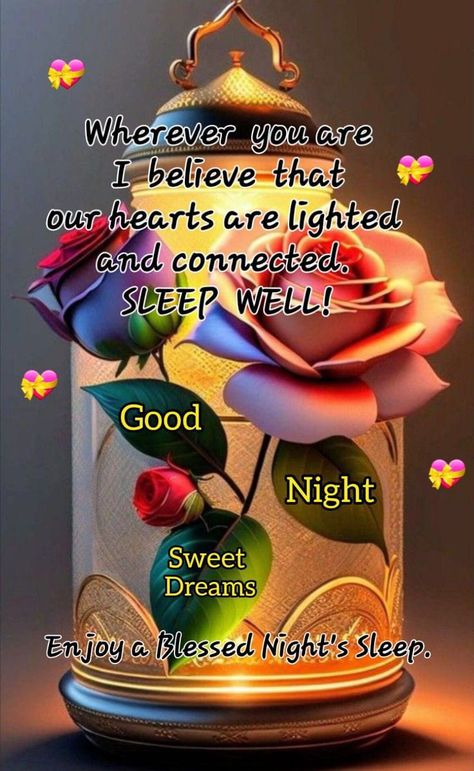 Good Night Quotes | Night Wishes | Dreams #GoodNightQuotes #NightQuotes | Night #Quotes #wishes Evening Pics, Quotes Night, Good Night Text Messages, Evening Blessings, Good Night Blessings Quotes, Chihuahua Facts, Quotes Good Night, Good Morning Quotes Friendship, Good Night Qoutes