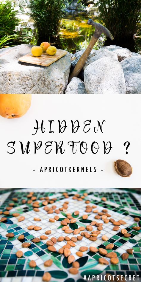 Ever busted open an apricot pit to find a hidden health food inside? Discover Apricot kernels! #superfood #healthy #realfood #healthfood Apricot Tree, Velvet Skin, Altitude Sickness, Apricot Seeds, Dr Sebi, Childhood Home, Juicing For Health, Apricot Kernels, Summer Treats