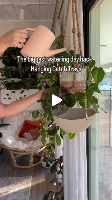 Chantel Gray | 🪴 Plants + DIY on Instagram: "Linked in bio under “CGH hanging catch trays” or comment “catch tray” and I’ll DM you the link! Available now in cream, black and crystal!

These hanging catch trays save my watering day sanity 🥹

#houseplants #wateringday #hangingplants #plantsofinstagram #planthack #trailingplants #houseplantsofinstagram" Plant Crafts, Plant Hacks, Trailing Plants, Diy Hanging, Diy Plants, Hanging Plants, House Plants, Tray, Plants