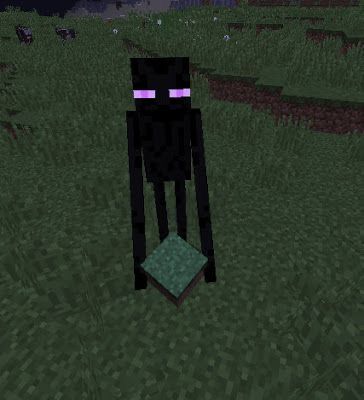 Enderman Aesthetic, Berwald Oxenstierna, Minecraft Wall, Minecraft Toys, Minecraft Drawings, Minecraft Pictures, Minecraft Mobs, Iphone Wallpaper Landscape, Minecraft Memes