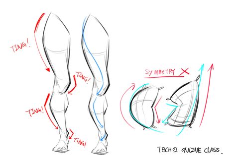 Tb Choi, Leg Anatomy, Anatomy Practice, Anatomy Tutorial, Human Anatomy Drawing, Body Drawing Tutorial, Human Anatomy Art, Anatomy Sketches, Anatomy For Artists