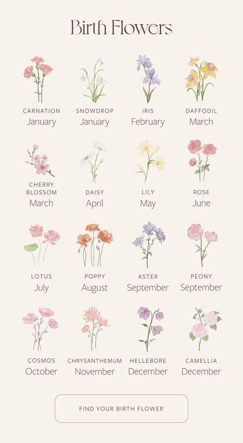 Discover your birth flower and make it your signature bloom Each month has a unique flower associated with it, adding a personal touch to your style. Find yours and wear it with pride. Click to learn more #BirthFlowers #PersonalizedJewelry #ZodiacInspired 💐✨ May September October Flower Tattoo, September And November Flower Tattoo, August Flower Tattoo, December Birth Flower, May Flower, June Flower, October Birth Flowers, September Birth Flower, August Flowers