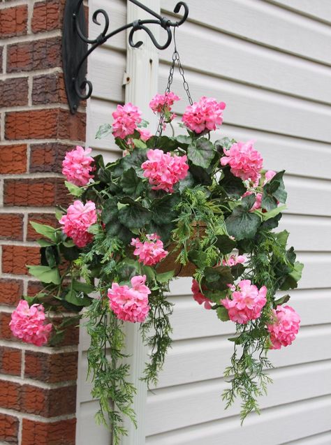 Flower Wall Decor Diy, Geranium Care, Hanging Plants Outdoor, Pink Geranium, Boho Patio, Hanging Flower Baskets, Basket Liners, Diy Backyard Landscaping, Hanging Plant