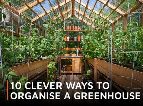 Make the most of every inch of space in your greenhouse - the more organised you are, the more productive you will be. Clever storage is vital. Here are 10 practical ideas to transform your garden greenhouse into a functional space in which it's a pleasure to spend time. Happy gardening! 1. Zoning Keep vegetables to on Greenhouse Kitchen, Greenhouse Vegetables, Outdoor Greenhouse, Planting Calendar, Garden Organization, Large Greenhouse, Polycarbonate Greenhouse, Home Greenhouse, House Shed