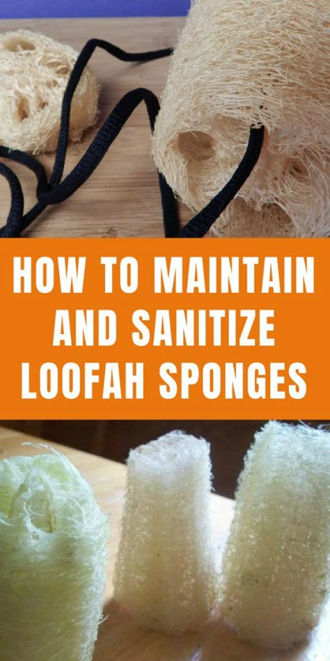 Savon Diy, Loofah Soap, Loofah Sponge, Room Garden, Garden Plans, Garden Design Ideas, Homemade Soap Recipes, Homemade Bath Products, Diy Body