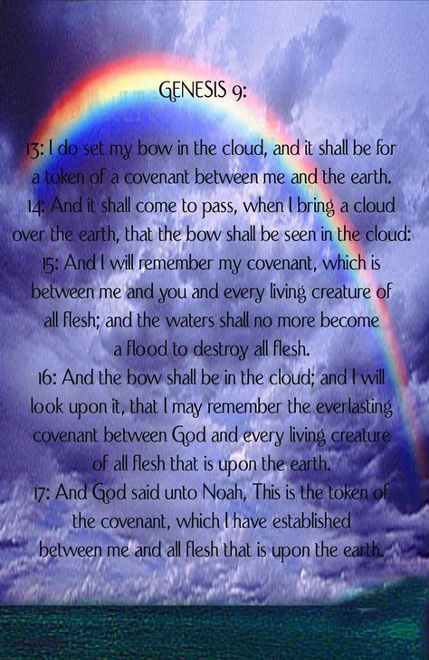 Amen, God did place in the sky a "Rainbow Covenant" between God and Man. That He would never again destroy man with Water or let it Cover His Earth.  But under the "New Covenant" instituted by King Jesus and the blood that he shed to save all sinners who exercise Faith in him. Those who are under the "Blood Covenant"( Luke 22:15-20, Hebrews 12;24-29, Hebrews 13:20-31), will not be Destroyed by the "Fire" that God will bring upon the wicked on Judgment Day( 2 Peter 3:1-18). Fire is Coming ! Double Rainbow Meaning, Blood Covenant, Gods Promise, In Rainbows, Crystal Children, Peter 3, Hebrews 13, Hebrews 12, God's Promise