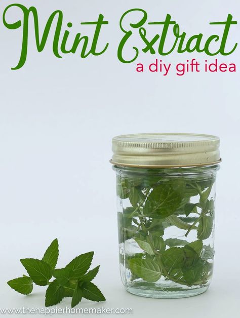 DIY Gift Mint Extract homemade gift Diy Cinnamon Candle, Diy Extracts, Salt Scrub Diy, Diy Cinnamon, Peppermint Plants, Peppermint Extract, Cinnamon Candle, Homemade Vanilla Extract, Mint Extract