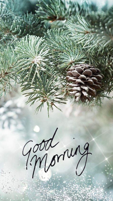 Wonderful Day Quotes, Gud Morning Images, Good Morning Christmas, Good Morning Winter, Holiday Morning, Good Morning Funny Pictures, Happy Birthday Greetings Friends, Happy Morning Quotes, Good Morning Inspiration