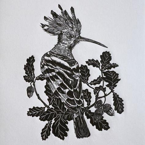 Emily Robertson on Instagram: "Hoopoe! This is one of my very favourite prints, and I *think* it might be the one I’m most proud of. I am even more incredibly happy than usual whenever somebody chooses to order one of these. Not least because it means I get to spend a bit of time wrapping one up and then - even better - I get to print some more of the edition. So thank you if you have ever ordered one! (Ps If you are looking to get one for yourself, they are only in my Etsy shop and not on my Lino Cut, Birds And Flowers, Oak Leaves, Fall Prints, Handmade Artwork, Lino Print, Linocut Prints, Limited Edition Prints, Black Bird