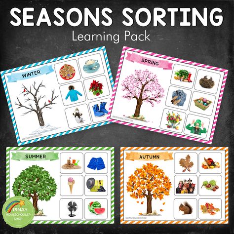 Seasons Math Activities Preschool, Seasons Provocations, 4 Seasons Sensory Bin, Seasons Sorting Activity Free Printable, Seasons Activities Kindergarten, Summer Season Pictures, Seasons Activities For Kids, Winter Season Food, Continents Activities