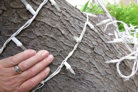 How To Put Lights On Outdoor Tree, Christmas Lights Outdoor Trees, Outdoor Christmas Light Displays, Outdoor Tree Lighting, Christmas Outdoors, Garden Playhouse, Lodge Ideas, Christmas Lights Outside, Spool Tables