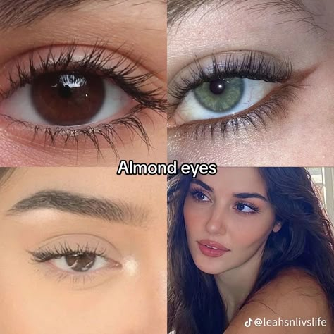 Almond Doe Eyes, Doe Eyes Vs Almond Eyes, Makeup Almond Eyes, Almond Eyes Aesthetic, Doe Eyes Affirmations, Doe Eyes Vs Siren Eyes Makeup, Perfect Eyesight Affirmation, Deer Pretty, Pretty Eyes Color