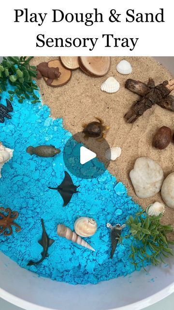 Anthea | Early Learning Play on Instagram: "•UNDER THE SEA•

🦈 🐚 🐙 🪨 🐬 🐚 🐙 🪨🐬 

Do you remember our ‘two ingredient silky smooth Play-Dough’ we made recently? 

As this dough crumbles overtime, I found another way to reuse it by adding it to a sensory tray.

Here I’ve created an under the sea sensory tray, using out ‘two ingredient silky smooth Play-Dough’ and sand.

⭐️ Sensory tray from @gusandmabel.co 

⭐️ I added our mini figurines from @minizoo.shop and natural materials too.
•
•
•
#sensory
#sensoryplay
#sensoryideas
#sensoryactivites
#sensoryactivity
#preschool 
#preschoolactivites 
#messyplay
#messyplayideas 
#sensorybase
#sensorybases
#sensorybaseideas 
#babysensory
#babymessyplay
#play
#shelfie 
#playroom
#playroomtoys 
#playroomideas
#playroomdecore
#playroomorganization Under The Sea Eyfs Activities, Playroom Organization, Messy Play, Mini Figurine, Baby Sensory, Sensory Bins, Play To Learn, Sensory Activities, Sensory Play