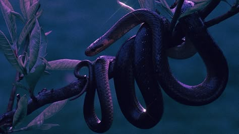 Snake Aesthetic Purple, Snake Desktop Wallpaper Aesthetic, Snake Wallpaper Laptop, Snake Desktop Wallpaper, Purple Snake Aesthetic, Toxic Crystals, Snake Core, Levi Aesthetic, Snake Gif