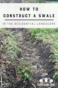 How to Construct a Swale in the Residential Landscape: A permaculture swale is a tool for capturing and storing water in a garden. Learn how to build a swale in the residential landscape. #permaculture Rain Garden Design, Permaculture Garden, Yard Drainage, Living Pool, Rain Gardens, Storing Water, Residential Landscape, Vegetable Garden Ideas, Permaculture Gardening