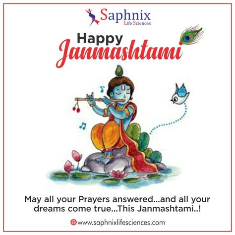 On this holy occasion of Shri Krishna Janmashtami, We hope and pray that blessings of Shri Krishna may always be with you.   A team Saphnix Lifesciences wishes you and your family Happy Janmashtami!  #janmashtami #krishna #lordkrishna #krishnajanmashtami #radhakrishna #happyjanmashtami2020 Krishan Janamasthmi Images, Krishan Janamasthmi, Krishna Jayanti, Shri Krishna Janmashtami, School Poster, Happy Janmashtami, Radha Krishna Wallpaper, Krishna Janmashtami, Shri Krishna