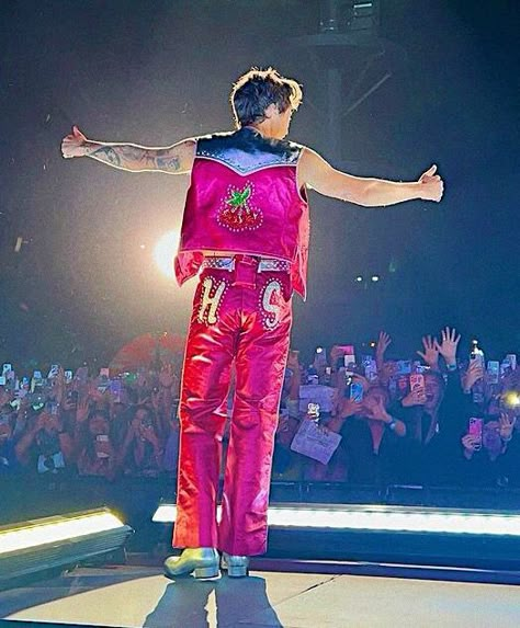 Harry Styles Outfits Concert, Harry Styles Costume, Harry Styles Outfit Inspo, Love On Tour Outfits Ideas, Harry Styles Concert Outfits, Harry Styles Love On Tour Outfits, Harry Styles Concert Outfit Ideas, Hslot Outfit Ideas, Harry Styles Concert Outfit