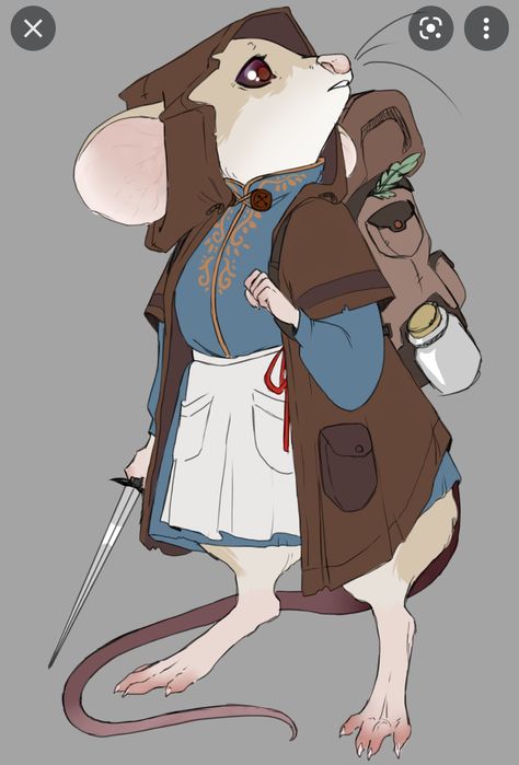 Mouse Character Design Concept Art, Rodent Character Design, Plush Character Design, Animal Merchant, Ratfolk Character Art, Mouse Anthro, Robin Character Design, Ratfolk Dnd, Mouse Adventurer