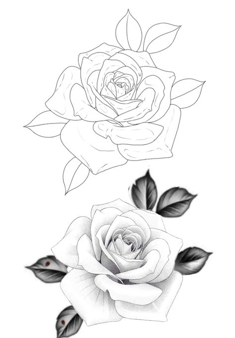 Rose Tattoo Men Stencil, Rose Tattoo Stencil Outline, Rose Design Tattoo, Apprentice Tattoos, Flower Outline Tattoo, Rose Flower Tattoo, Rose Drawings, Chest Tattoo Stencils, Flower Tattoo Stencils