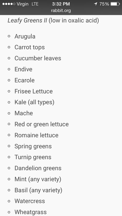 Greens For Rabbits, Frisee Lettuce, Bunny Things, Lop Bunnies, Holland Lop Bunnies, Oxalic Acid, Bunny Room, Green Lettuce, Bunny Care