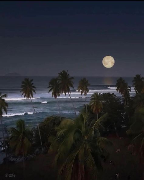 Puertoricogram - Rincón, Puerto Rico 🌕🇵🇷 📸: @migu3lolivo... Rincon Puerto Rico, Puerto Rico Beaches, Puerto Rico Trip, Puerto Rican Culture, Beach At Night, August 10, City Photography, Future Life, Nature Beauty