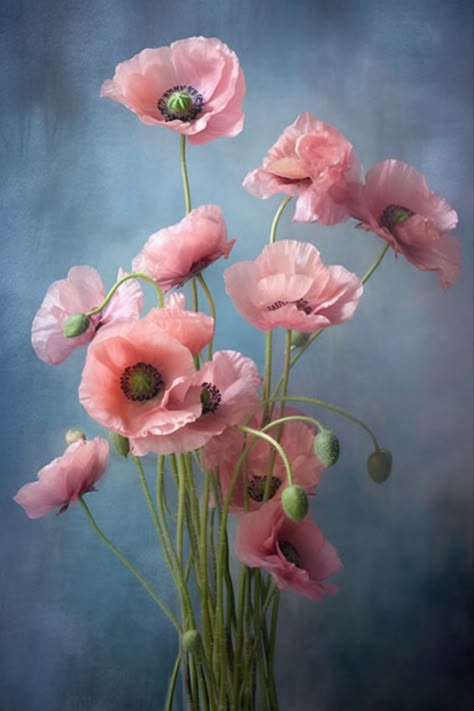 Instagram Ideas/Flower Poppy Arrangements, Poppies Photography, Poppies Flower, Photos Of Flowers, Poster Flower, Aesthetic Garden, Still Life Flowers, Easy Landscaping, Lovely Flowers Wallpaper