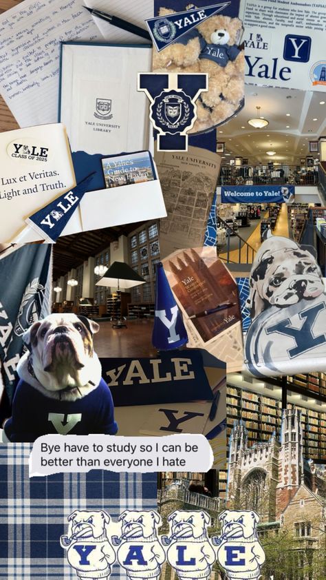 Yale bulldogs Harvard Motivation, Yale College, Yale Law, University Inspiration, Yale Bulldogs, University Aesthetic, Crew Team, Academic Validation, Dream College