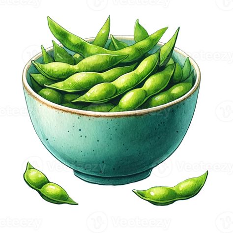 Popular Japanese menu Edamame Beans in a bowl watercolor clipart Bean Illustration, Beans Illustration, Bowl Illustration, Japanese Menu, Edamame Beans, Food Drawings, Couples Costume, Tree Saw, Heart Tree