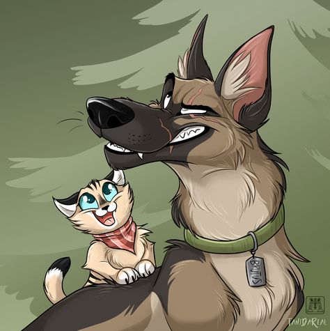 Pixie and Brutus … Drawn by tanidareal … pixie, brutus, pet foolery, pet_foolery, comic, military dog, kitten Pixie And Brutus Fanart, Pixie Brutus, Pet Foolery, Brutus And Pixie, Pixie And Brutus, Dream Cosplay, Military Dog, Military Dogs, Short Comics