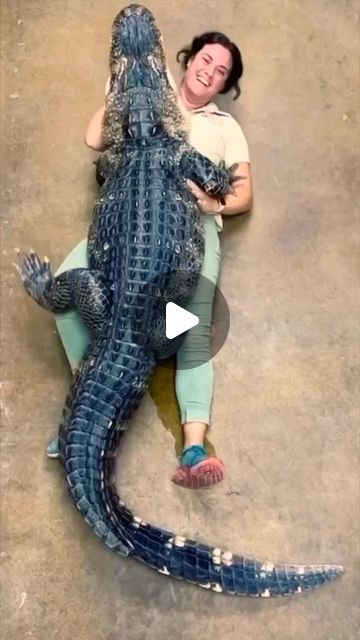 Funny Animals Memes Hilarious, Animal Memes Funny, Animal Videos Funny, Unusual Animal Friends, Reptile Zoo, Hilarious Animal Memes, Cool Videos, Animal Funnies, Amazing Animal Pictures