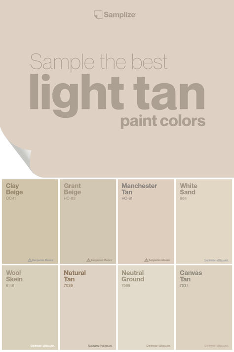 Discover an variety of light tan paint hues with Samplize! Explore and sample light tan shades curated for your home projects, ensuring you find the perfect color effortlessly. Shades Of Tan Paint, Light Tan Paint Colors Sherwin Williams, Light Tan Paint Colors, Best Tan Paint Colors, Light Tan Paint, Tan Shades, Tan Paint Colors, Grant Beige, Shades Of Tan