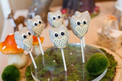 Owl cake pops. | Leah Jeffery | Flickr Choc Covered Strawberries, Owl Cake Pops, Strawberry Recipe, Chocolate Covered Strawberry Recipe, Woodland Cake, Covered Strawberry, Owl Cake, Covered Strawberries, Cake Pop