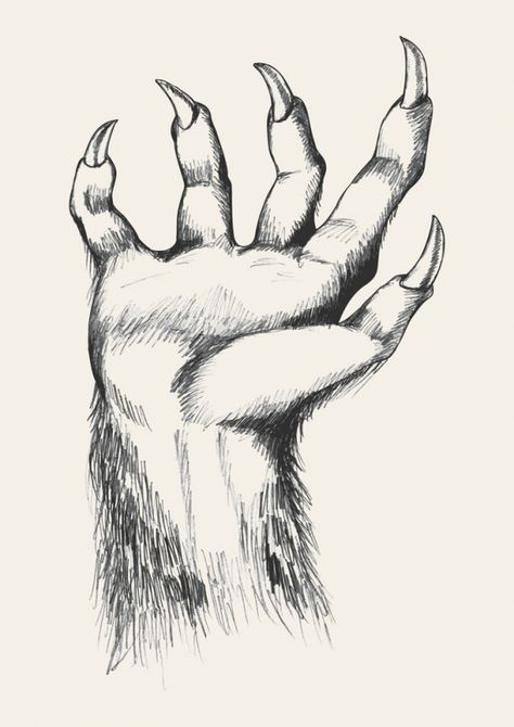 The Beast-Man of Bowman’s Woods Werewolf Hands, Werewolf Illustration, Mysterious Universe, Jersey Devil, Sketch Illustration, Vintage Horror, Adobe Stock, Reno, Moose Art